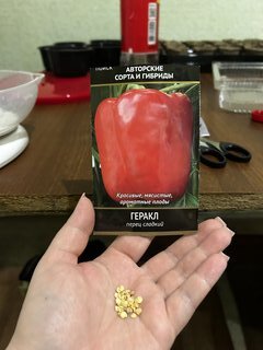 Семена Перец сладкий, Геракл, 0.25 г, цветная упаковка, Поиск - фото 9 от пользователя