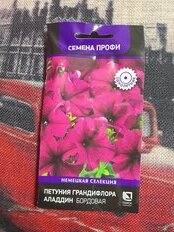 Семена Цветы, Петуния, Грандифлора Аладдин Бордовая, цветная упаковка, Поиск - фото 7 от пользователя