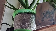 Горшок для цветов пластик, 2 л, 19х15 см, для орхидей, зеленый, Альтернатива, М1454 - фото 8 от пользователя
