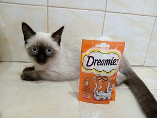 Корм для животных Dreamies, 30 г, для кошек, лакомство, курица, 52761 - фото 3 от пользователя