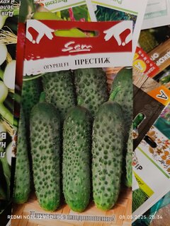 Семена Огурец, Престиж F1, цветная упаковка, Русский огород - фото 1 от пользователя