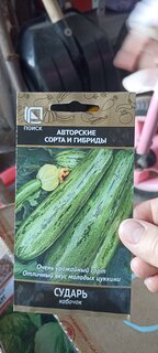 Семена Кабачок-цуккини, Сударь, цветная упаковка, Поиск - фото 3 от пользователя