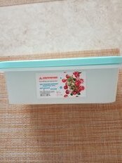 Контейнер пищевой пластик, 1 л, 21х17х7 см, голубой, для заморозки, Альтернатива, М8510 - фото 3 от пользователя