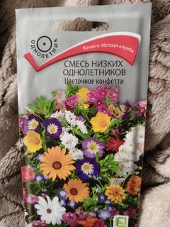 Семена Цветы, Смесь низких однолетников, Цветочное конфетти, 0.5 г, цветная упаковка, Поиск - фото 1 от пользователя