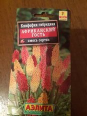 Семена Цветы, Книфофия, Африканский гость, 0.1 г, смесь сортов, цветная упаковка, Аэлита - фото 9 от пользователя