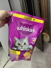 Корм для животных Whiskas, 800 г, для взрослых кошек 1+, сухой, курица/индейка, подушечки с паштетом, пакет - фото 7 от пользователя