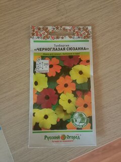 Семена Цветы, Тунбергия, Черноглазая Сюзанна, 0.3 г, Зеленый дом, цветная упаковка, Русский огород - фото 5 от пользователя