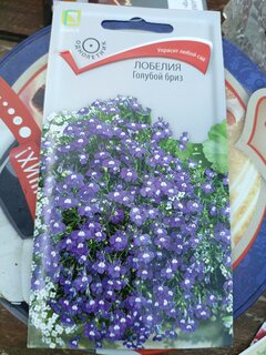 Семена Цветы, Лобелия, Голубой бриз, 0.1 г, цветная упаковка, Поиск - фото 5 от пользователя