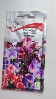 Семена Цветы, Горошек душистый, иппл микс, 0.5 г, цветная упаковка, Поиск - фото 1 от пользователя