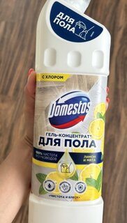 Средство для мытья полов Domestos, Чистота и блеск, Лимон и мята, 1 л - фото 8 от пользователя