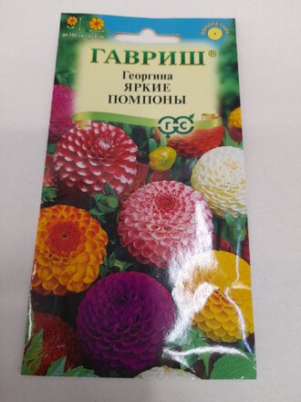 Семена Цветы, Георгина, Яркие помпоны, 0.2 г, Цветочная коллекция, цветная упаковка, Гавриш - фото 6 от пользователя