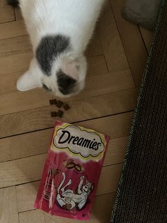 Корм для животных Dreamies, 60 г, для кошек, лакомство, говядина, 52353 - фото 1 от пользователя