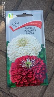 Семена Цветы, Цинния, Сомелье, 0.4 г, изящная, цветная упаковка, Поиск - фото 6 от пользователя