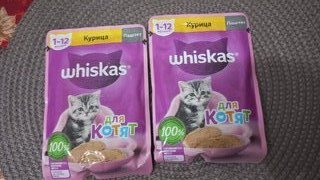 Корм для животных Whiskas, 75 г, для котят, 1-12 месяцев, паштет, курица, пауч, G8472 - фото 4 от пользователя