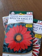 Семена Цветы, Гацания, Фрости кисс F1 красная, 4 шт, цветная упаковка, Аэлита - фото 4 от пользователя