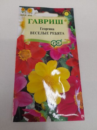 Семена Цветы, Георгина, Веселые ребята, 0.3 г, Цветочная коллекция, цветная упаковка, Гавриш - фото 1 от пользователя