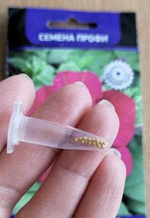 Семена Цветы, Петуния, Танго Бордовая, крупноцветковая, цветная упаковка, Поиск - фото 7 от пользователя