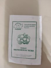 Семена Томат, Балконное Чудо МФ, 0.1 г, 10963, белая упаковка, Седек - фото 7 от пользователя