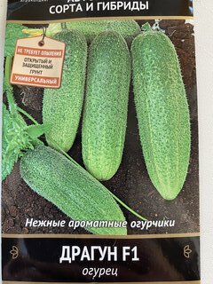 Семена Огурец, Драгун F1, цветная упаковка, Поиск - фото 2 от пользователя