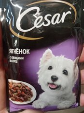 Корм для животных Cesar, 85 г, для собак, кусочки в соусе, ягненок с овощами, F5873 - фото 9 от пользователя