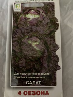 Семена Салат кочанный, 4 сезона, 1 г, цветная упаковка, Поиск - фото 3 от пользователя