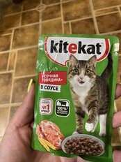 Корм для животных Kitekat, 85 г, для кошек, говядина в соусе, пауч - фото 1 от пользователя