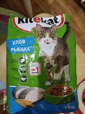 Корм для животных Kitekat, 1900 г, для взрослых кошек, сухой, Улов рыбака, пакет, 10132135 - фото 3 от пользователя