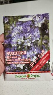 Семена Газон, Фацелия, 30 г, цветная упаковка, Русский огород - фото 8 от пользователя