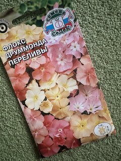 Семена Цветы, Флокс, Друммонда Переливы, 0.2 г, низкорослый, цветная упаковка, Седек - фото 2 от пользователя