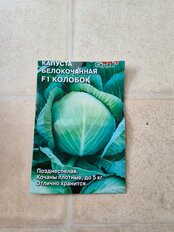 Семена Капуста белокочанная, Колобок F1, цветная упаковка, Седек - фото 9 от пользователя