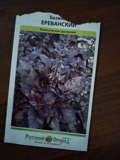 Семена Базилик, Ереванский, 0.3 г, цветная упаковка, Русский огород - фото 2 от пользователя