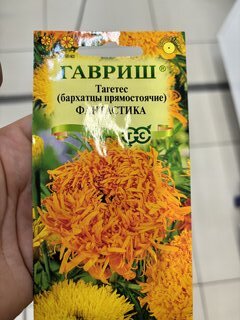 Семена Цветы, Бархатцы, Фантастика Тагетес, 0.1 г, прямостоячие, смесь, цветная упаковка, Гавриш - фото 1 от пользователя