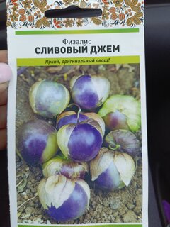 Семена Физалис, Сливовый джем, цветная упаковка, Русский огород - фото 2 от пользователя