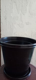 Горшок пластик, 2 л, 17 см, для цветов, коричневый, Альтернатива, Эконом, М6601 - фото 7 от пользователя