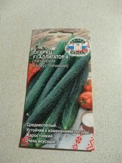 Семена Огурец, Аллигатор 4 F1, 0.2 г, цветная упаковка, Седек - фото 2 от пользователя