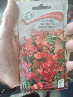 Семена Цветы, Фасоль, Огненно-красная вьющаяся, цветная упаковка, Поиск - фото 4 от пользователя