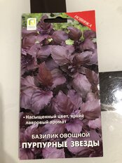 Семена Базилик, Пурпурные звезды, 0.1 г, цветная упаковка, Поиск - фото 1 от пользователя