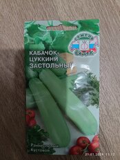 Семена Кабачок-цуккини, Застольный, 2 г, цветная упаковка, Седек - фото 3 от пользователя