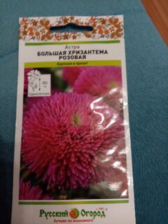 Семена Цветы, Астра, Большая хризантема, цветная упаковка, Русский огород - фото 3 от пользователя