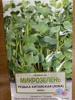 Семена Микрозелень, Редька китайская (лоба), 2 г, Поиск - фото 2 от пользователя