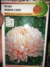 Семена Цветы, Астра, Янина Сиел, 0.3 г, цветная упаковка, Русский огород - фото 2 от пользователя