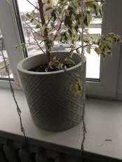 Горшок для цветов пластик, 9.5 л, 28х27 см, с вставкой, белый ротанг, Idea, Этна, М 3184 - фото 5 от пользователя