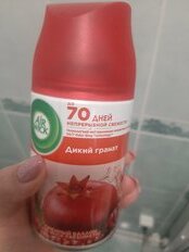 Освежитель воздуха Air Wick, 250 мл, Дикий гранат, сменный, сухое распыление, 3219311 - фото 1 от пользователя