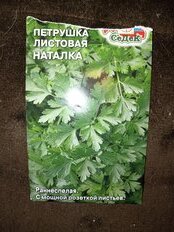 Семена Петрушка листовая, Наталка, 2 г, цветная упаковка, Седек - фото 5 от пользователя