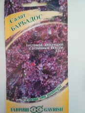 Семена Салат листовой, Барбадос красный, 0.5 г, Семена от автора, цветная упаковка, Гавриш - фото 2 от пользователя