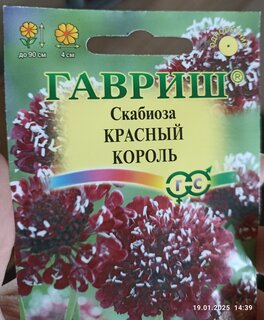 Семена Цветы, Скабиоза, Красный король, Цветочная коллекция, темнопурпурная, махровая, цветная упаковка, Гавриш - фото 2 от пользователя