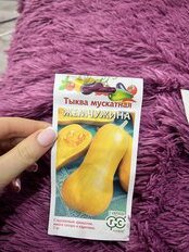 Семена Тыква, Жемчужина мускатная, 1 г, цветная упаковка, Гавриш - фото 9 от пользователя