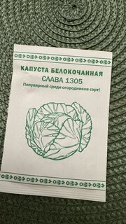 Семена Капуста белокочанная, Слава 1305, 0.3 г, Первая цена, белая упаковка, Русский огород - фото 4 от пользователя