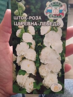 Семена Цветы, Шток-роза, Царевна Лебедь, 0.1 г, белая, цветная упаковка, Седек - фото 9 от пользователя