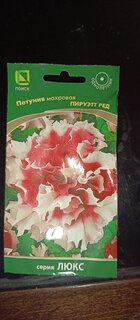 Семена Цветы, Петуния, Пируэтт ред, махровая, цветная упаковка, Поиск - фото 4 от пользователя